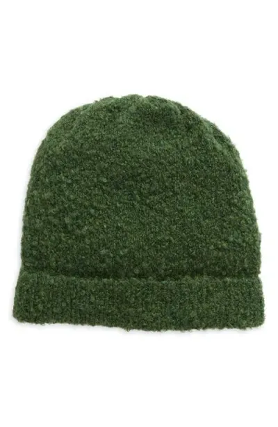 The Elder Statesman Teddy Bouclé Beanie In Green