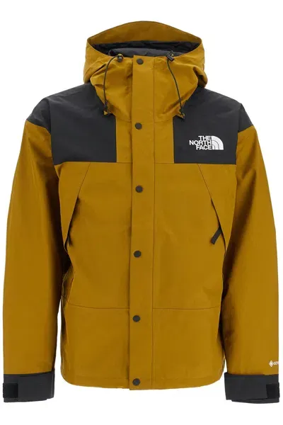 The North Face Giacca Mountain In Gore Tex In Khaki