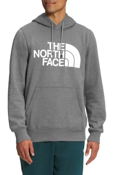 The North Face Half Dome Graphic Pullover Hoodie In Medium Grey Heather/white