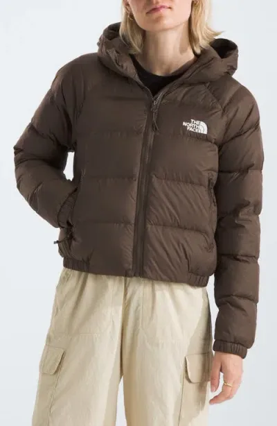 The North Face Hydrenalite Hooded Down Jacket In Brown