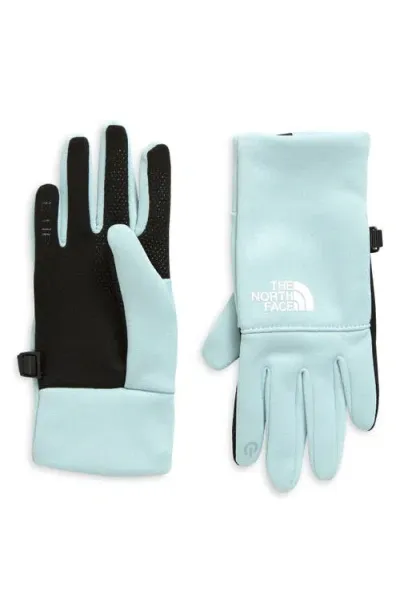 The North Face Kids' Recycled Polyester Etip Gloves In Muted Pine