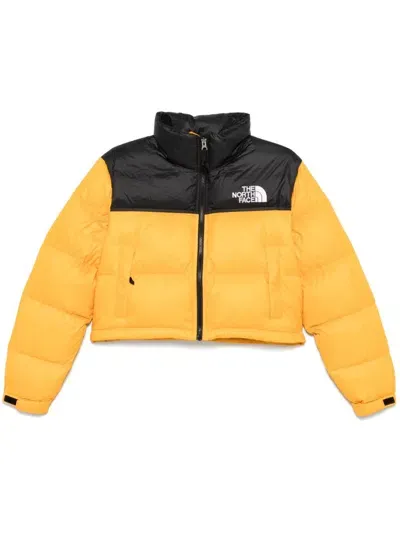 The North Face Nuptse Jacket In Yellow