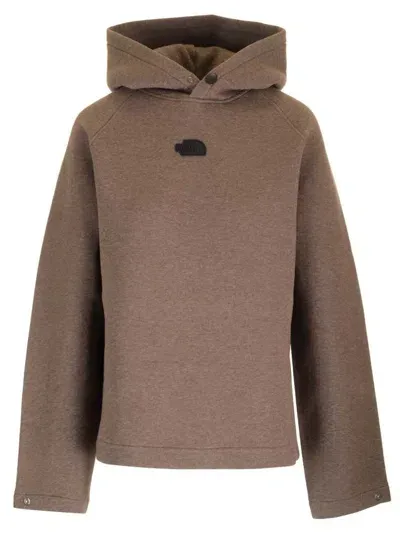 The North Face Relaxed Hoodie In Brown