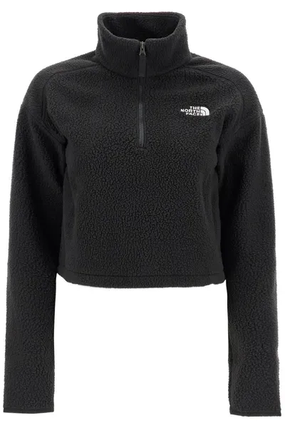 The North Face Sherpa Fleece Cropped Sweatshirt In In Black