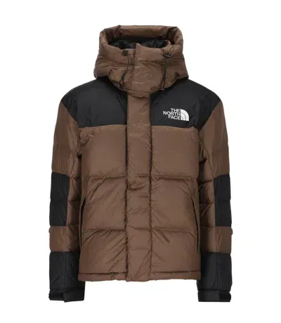 The North Face The North Hmlyn Baltoro Jacket In Brown