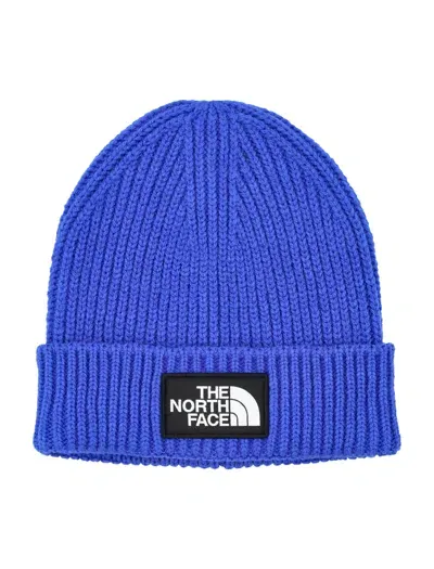 The North Face Tnf Logo Box Cuffed Beanie In Blue