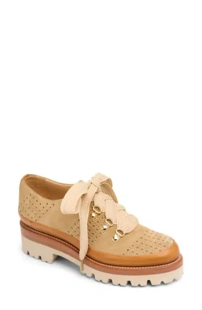 The Office Of Angela Scott Ms. Josephine Perforated Suede Oxford Loafers In Desert Tan