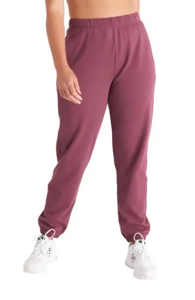 The Standard Stitch The Sweatpant In Plum