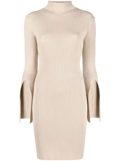 There Was One Mock-neck Ribbed Dress In Neutrals