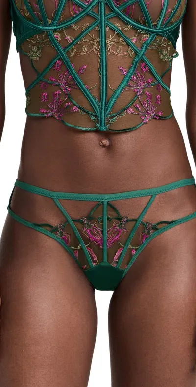 Thistle And Spire Venus Panties Emerald