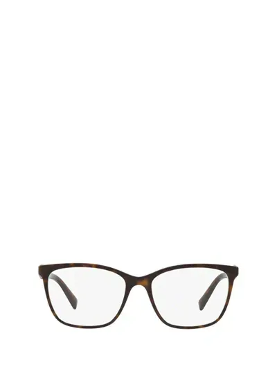 Tiffany & Co . Eyeglasses In Havana On Tiffany Blue