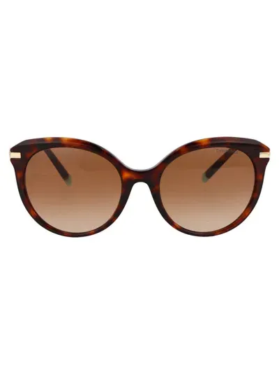 Tiffany & Co . Sunglasses In 80023b Havana