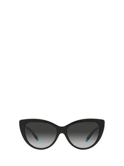 Tiffany & Co . Sunglasses In Black