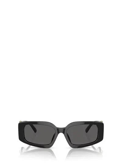 Tiffany & Co . Sunglasses In Black