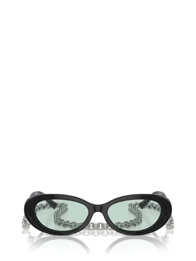 Tiffany & Co . Sunglasses In Black