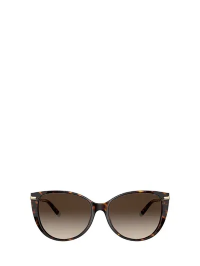 Tiffany & Co . Sunglasses In Brown