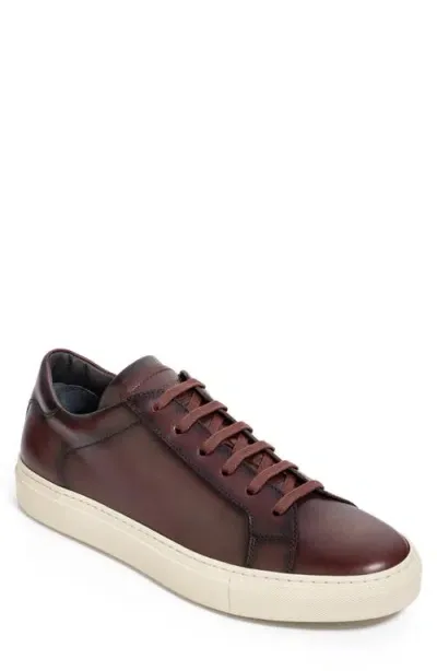 To Boot New York Pescara Sneaker In Bordo