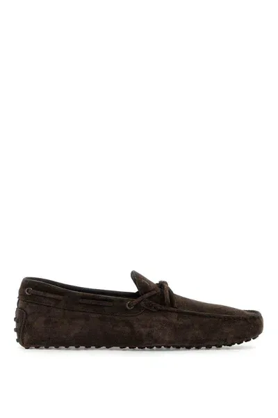 Tod's Loafers In Brown