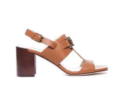 Tod's Pump Sandals In Brown