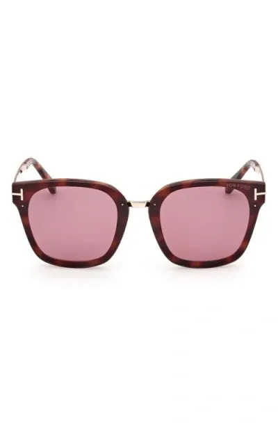 Tom Ford Philippa 68mm Gradient Square Sunglasses In Dark Havana/violet