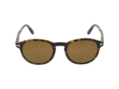 Tom Ford Sunglasses In Dark Havana/roviex