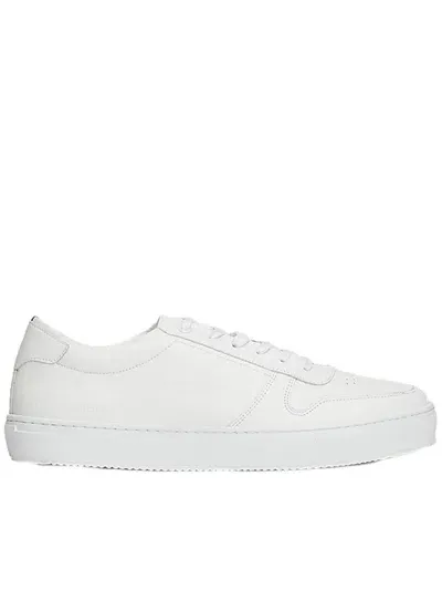 Tommy Hilfiger Premium Corporate Cupsole Shoes In White