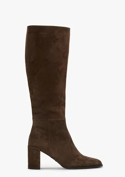 Tony Bianco Palace Espresso Suede Calf Boots