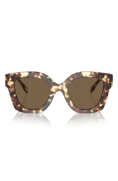 Tory Burch Oversized Acetate Cat-eye Sunglasses In Dark Brown