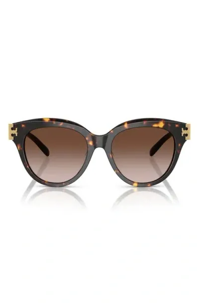 Tory Burch 53mm Gradient Phantos Sunglasses In Brown Tortoise