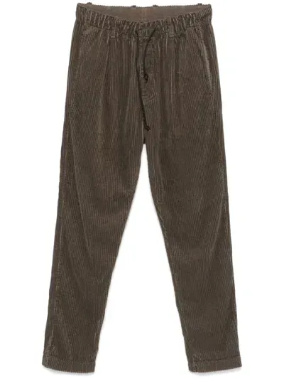 Transit Corduroy Trousers In 褐色