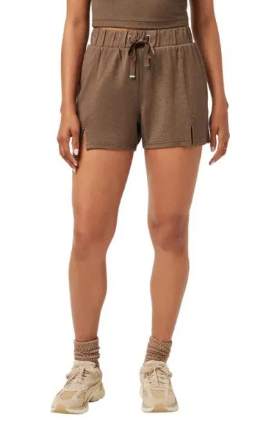 Travismathew Hidden Local Shorts In Heather Cocoa Brown