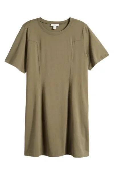 Treasure & Bond Seamed Cotton T-shirt Dress In Olive Kalamata