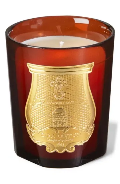 Trudon Cire Beeswax Absolute Candle