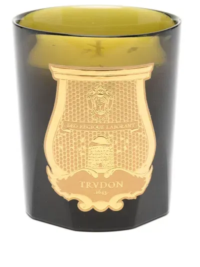 Trudon Classic Tuileries Scented Candle (270g) In Green