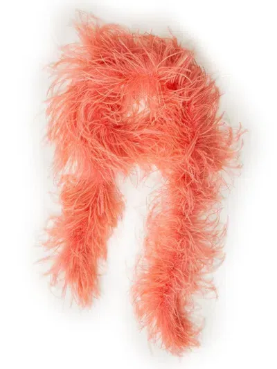 Twinset Feather-embellished Scarf In Pink