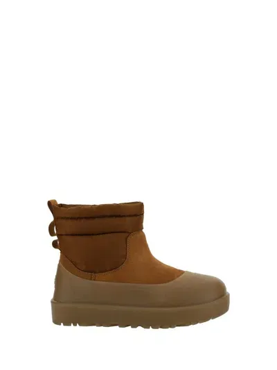 Ugg Boots In Brown