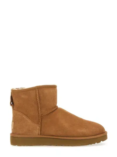 Ugg Mini Boots In Brown