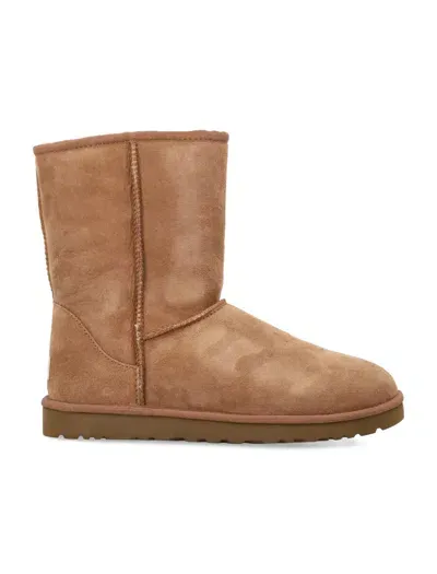 Ugg Classic Short Boots In Chestnut