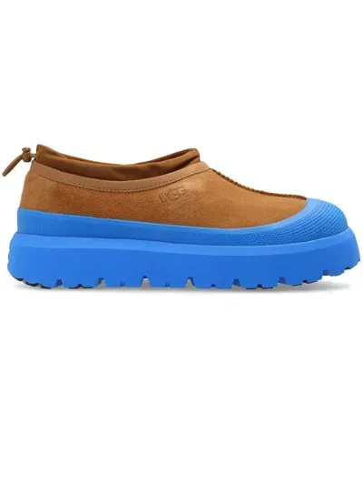 Ugg Sneakers Blue