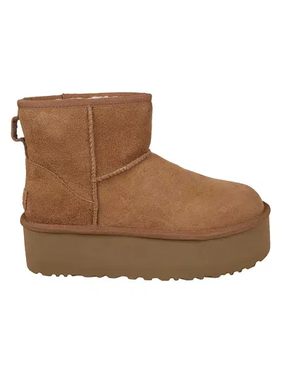 Ugg W Classic Mini Platform In Che Chestnut