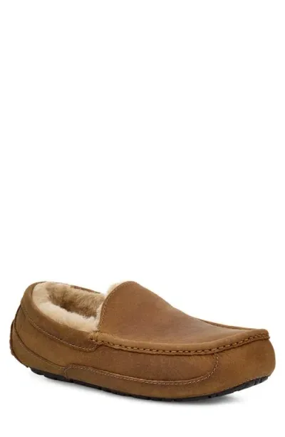 Ugg(r) Ascot Leather Slipper In Tan/tan