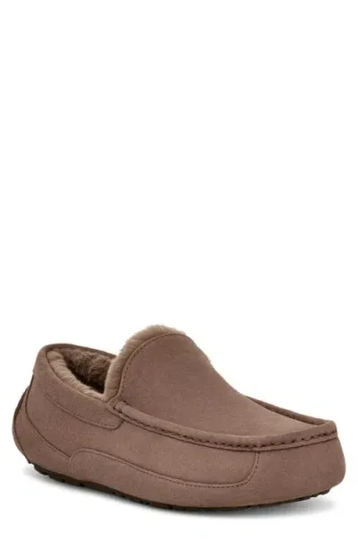 Ugg(r) Ascot Slipper In Caribou