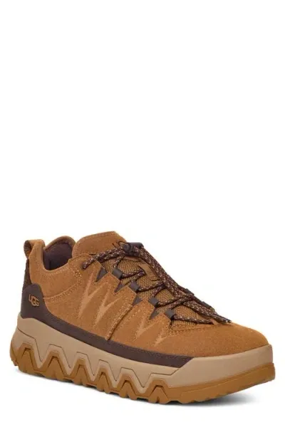 Ugg(r) Captrail Low Waterproof Sneaker In Chestnut