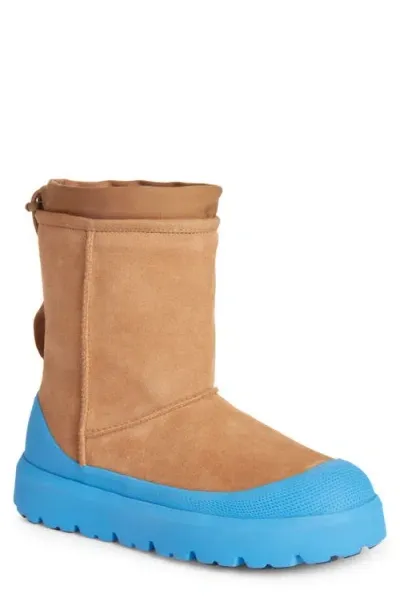 Ugg(r) Classic Short Hybrid Winter Boot In Chestnut/big Sky