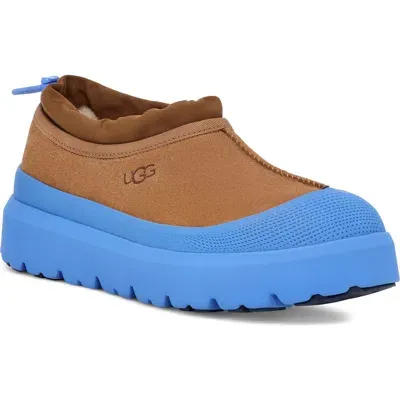 Ugg(r) Tasman Waterproof Hybrid Slip-on Shoe In Chestnut/big Sky