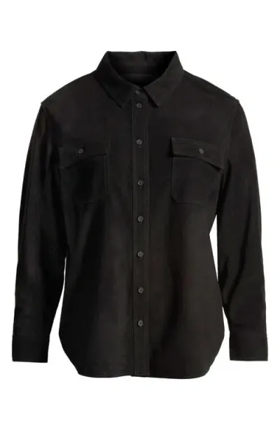 Universal Standard Greenwich Suede Shirt Jacket In Black