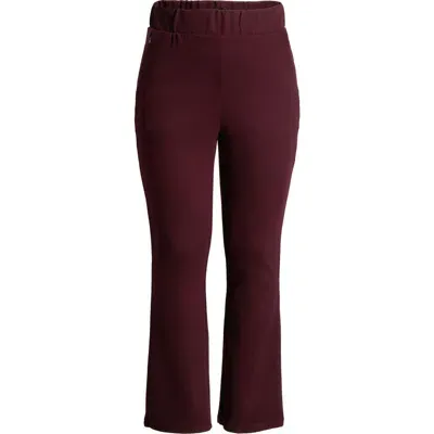 Universal Standard Pinstripe Ponte Bootcut Pants In Black Cherry