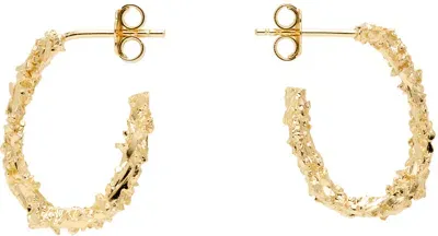 Veneda Carter Ssense Exclusive Gold Vc003 Small Open Hoop Earrings