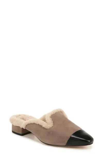 Veronica Beard Cecile Genuine Shearling Mule In Taupe Grey Suede