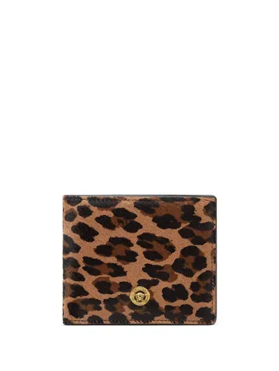 Versace Leopard Print Wallet In Braun